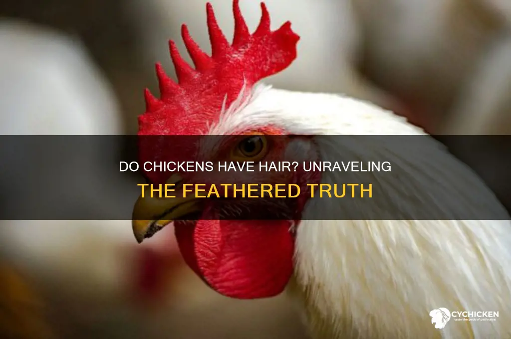 do you cut a chicken