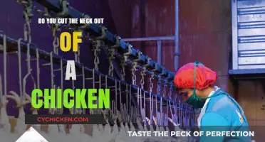 The Best Way to Butcher a Chicken