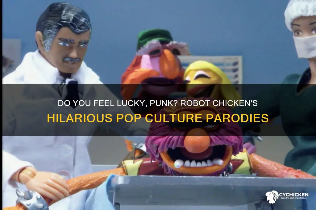 do you feel lucky punk robot chicken