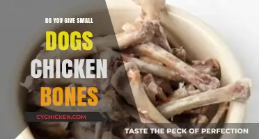 Are Chicken Bones Safe for Small Dogs? What You Need to Know
