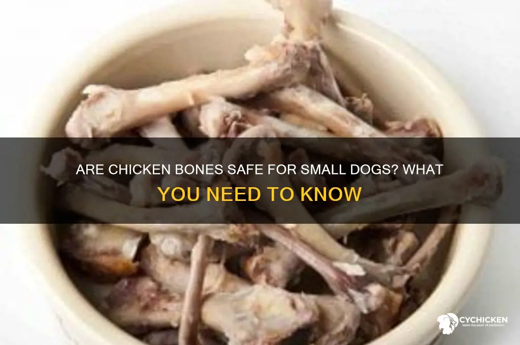 do you give small dogs chicken bones