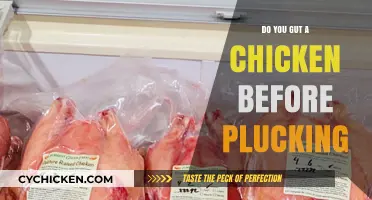Gutting vs. Plucking: The Right Order for Processing Chickens