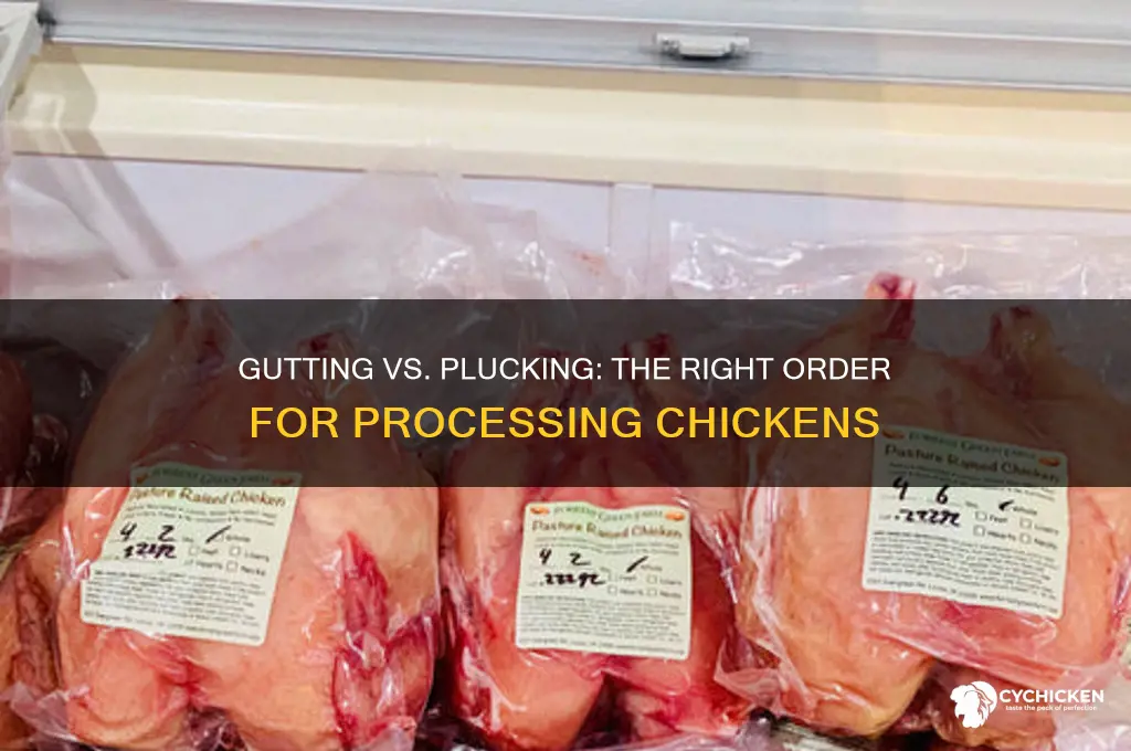 do you gut a chicken before plucking