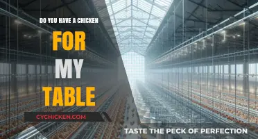 Finding the Perfect Chicken: A Guide to Sourcing Poultry for Your Table