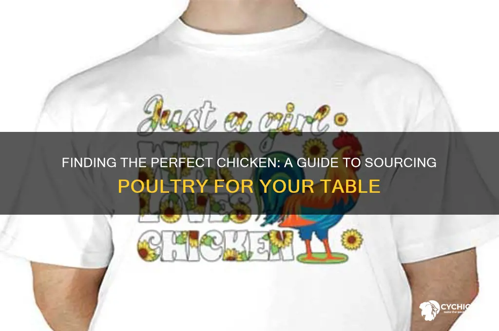 do you have a chicken for my table
