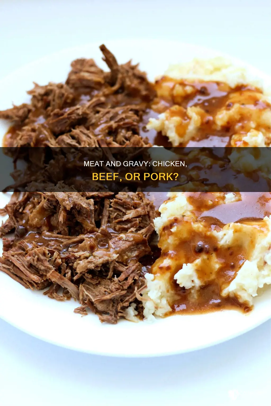 do you have chicken or beef gravy with pork