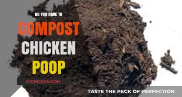 Can You Compost Chicken Poop? A Guide to Safe Fertilizer Use