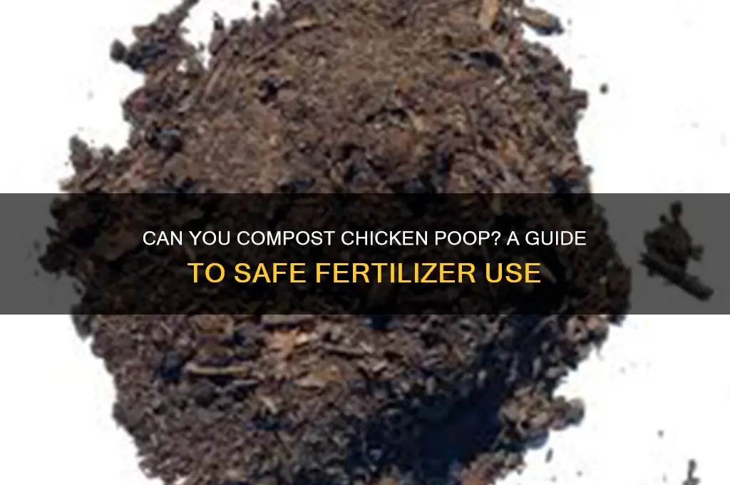do you have to compost chicken poop