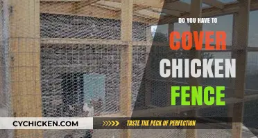 Should You Cover Chicken Fences? Essential Tips for Poultry Protection
