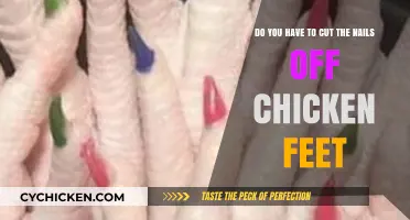 Trimming Chicken Feet: Do Nails Need a Clip?