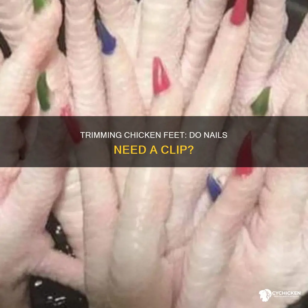do you have to cut the nails off chicken feet