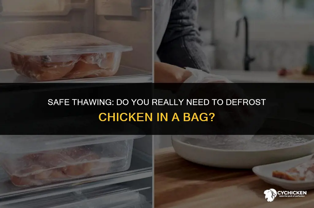 do you have to defrost frozen chicken in bag