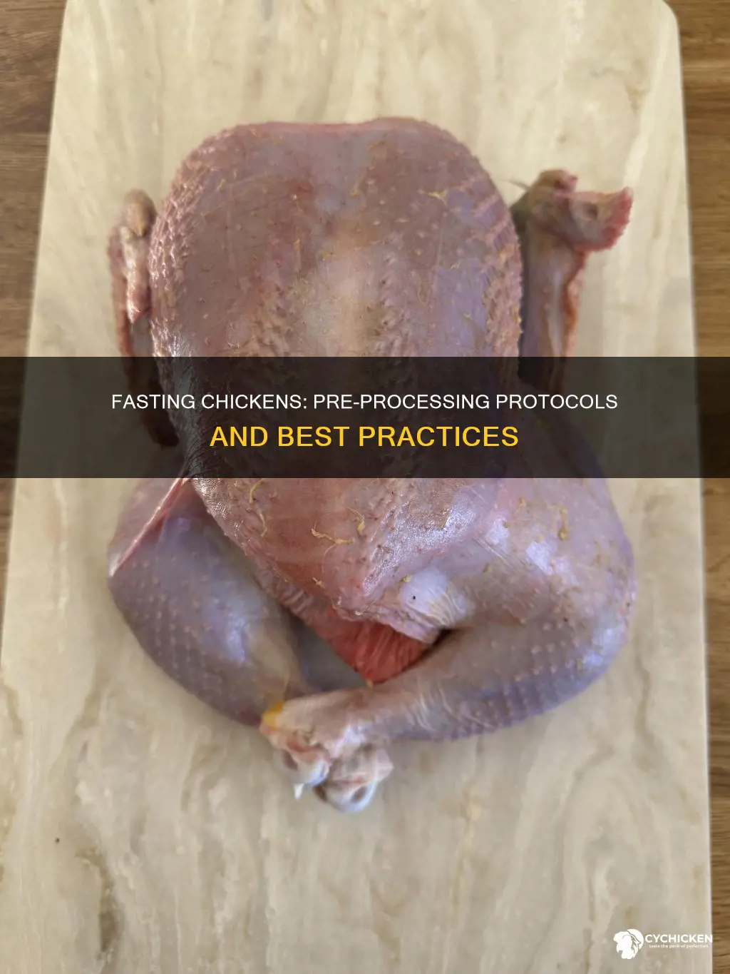 do you have to fast a chicken before processing