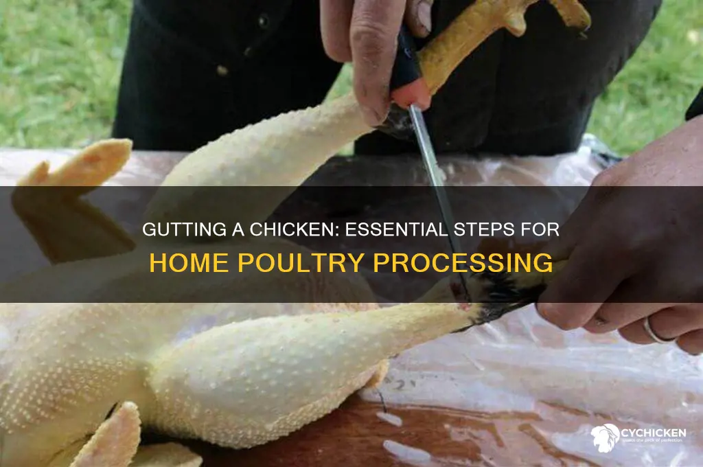 do you have to gut a chicken