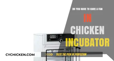 Why Fans Are Essential in Chicken Incubators