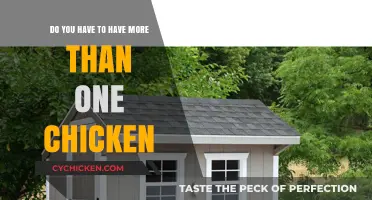The Benefits of Keeping Multiple Chickens