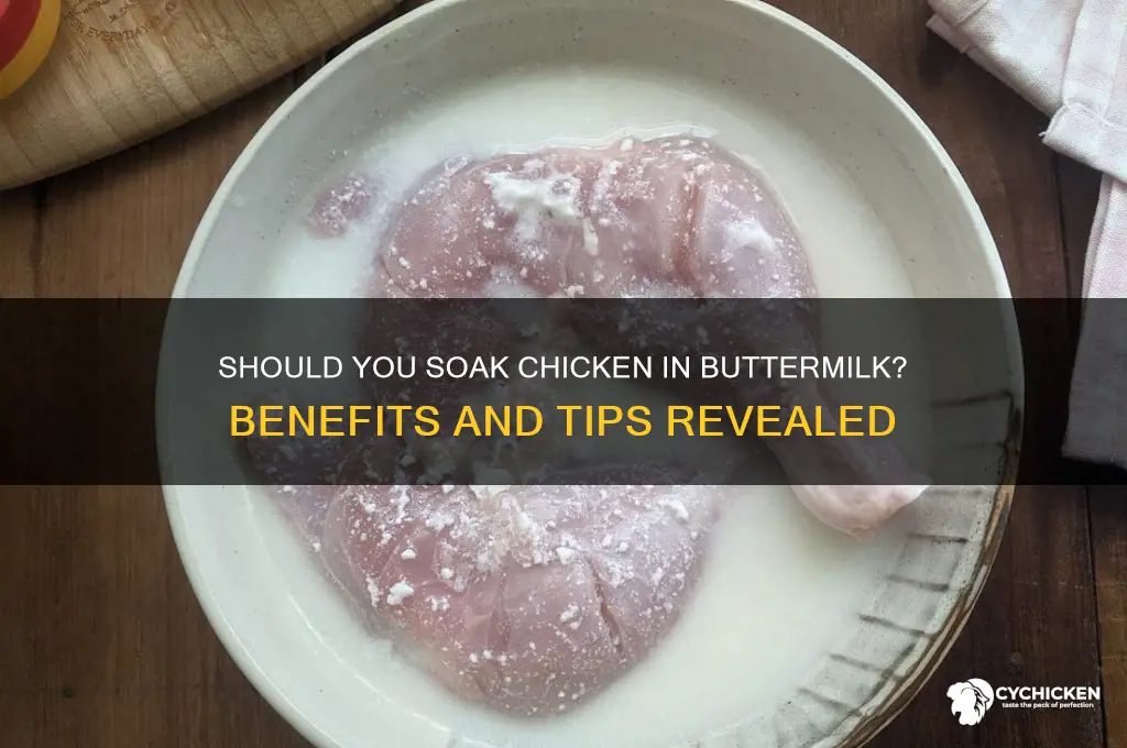 do you have to soak chicken in buttermilk