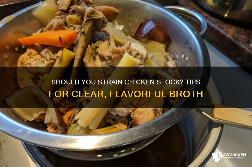 do you have to strain chicken stock