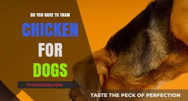 Should You Thaw Chicken for Dogs? Safe Feeding Tips Revealed