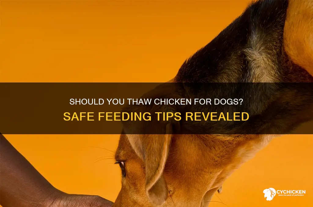 do you have to thaw chicken for dogs