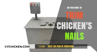 Trimming Chicken Nails: Essential Care or Unnecessary Task?