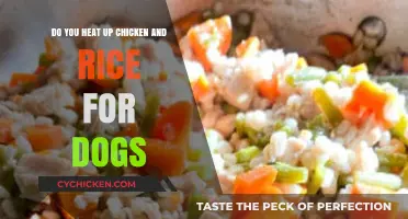 How to Warm Up Chicken and Rice for Dogs