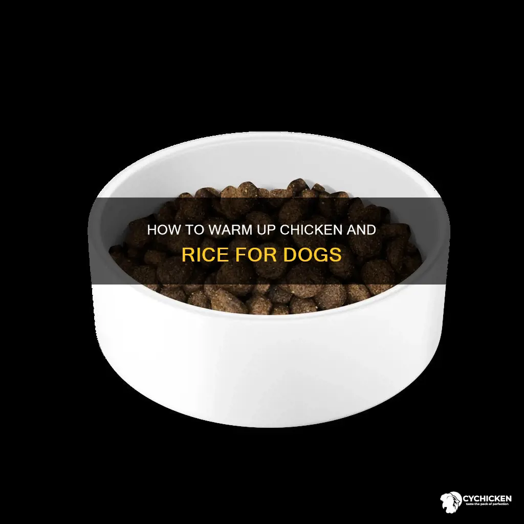do you heat up chicken and rice for dogs
