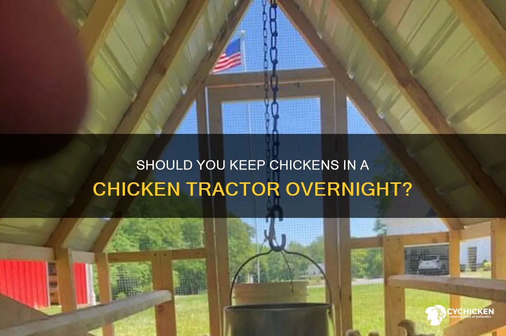 do you leave chickens in the chicken tractor