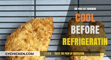 Should You Let Chicken Cool Before Refrigerating? Expert Tips and Advice