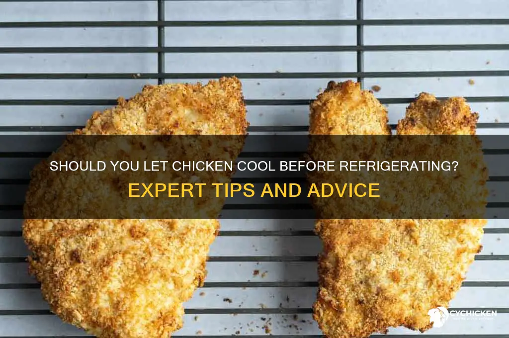 do you let chicken cool before refrigerating