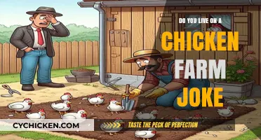 Clucking Hilarious: Unraveling the 'Do You Live on a Chicken Farm?' Joke
