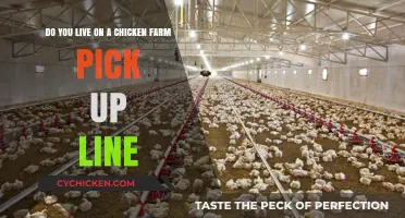 How to Impress a Farmer With a Pick-Up Line