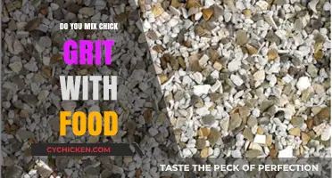 Should You Mix Chick Grit with Food? Expert Tips for Healthy Chicks