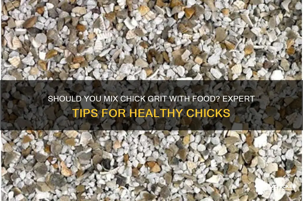 do you mix chick grit with food