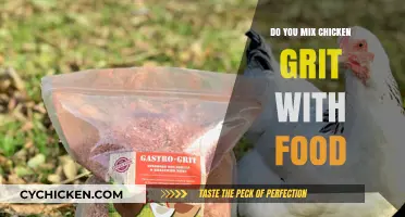 Should You Mix Chicken Grit with Food? Expert Tips and Insights