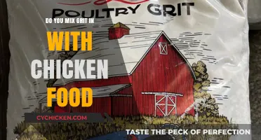 Should You Mix Grit with Chicken Feed? Expert Tips and Advice
