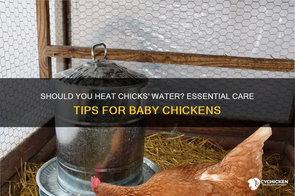 do you ned to heat chicks water