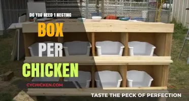 Nesting Box Requirements: How Many Does Each Chicken Really Need?
