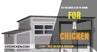 How Much Space Do Happy Chickens Need?