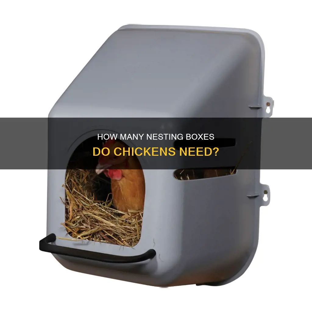 do you need a nesting box for each chicken