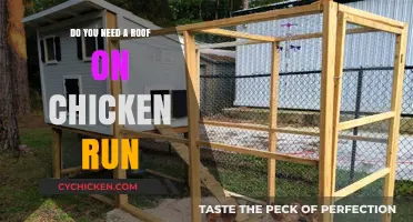 Should You Add a Roof to Your Chicken Run? Pros and Cons
