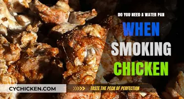 Smoking Chicken: Water Pan or No Water Pan?