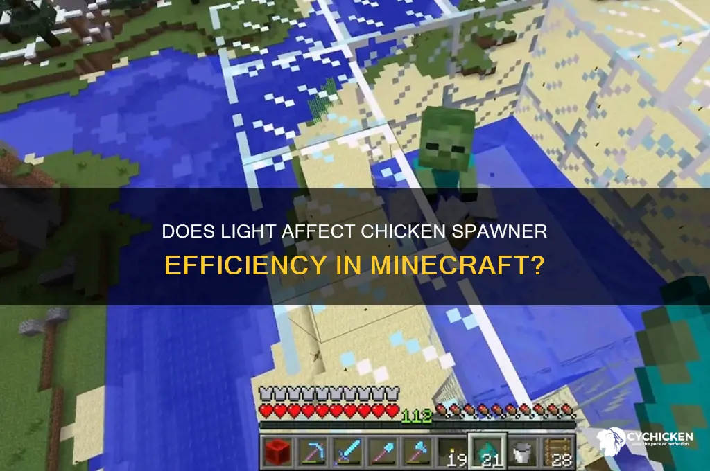 do you need light for chicken spawner