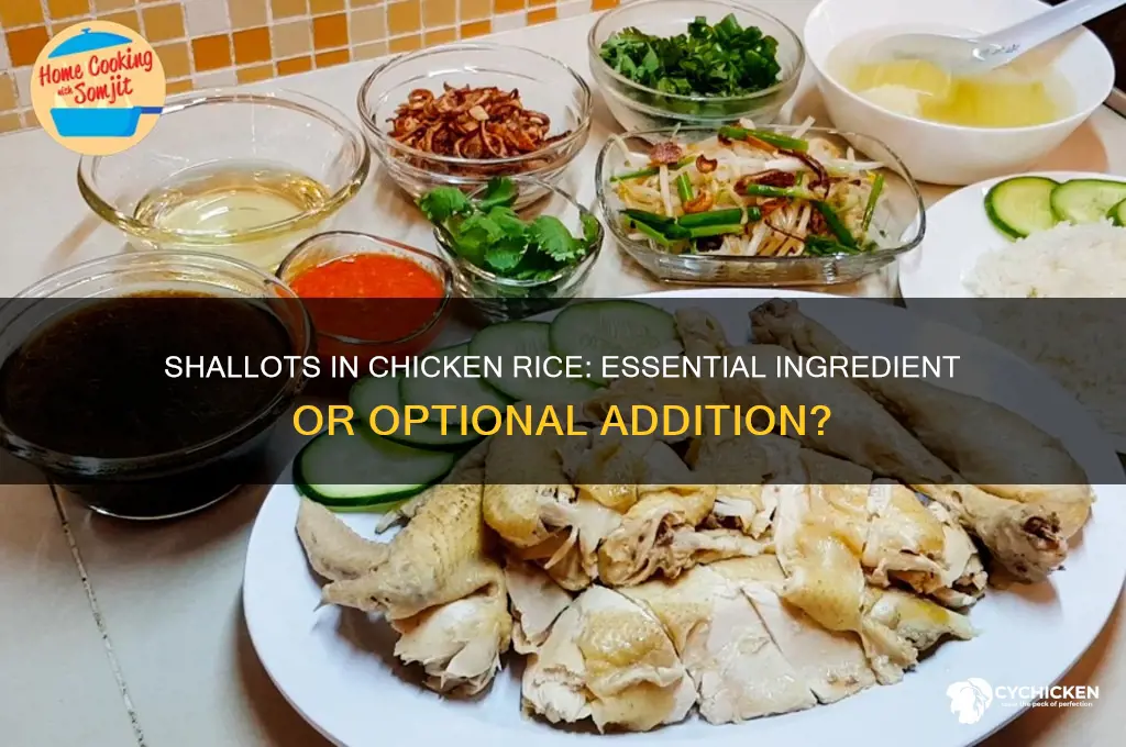 do you need shallots for chicken rice