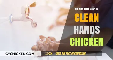Handwashing After Handling Chicken: Is Soap Essential for Hygiene?