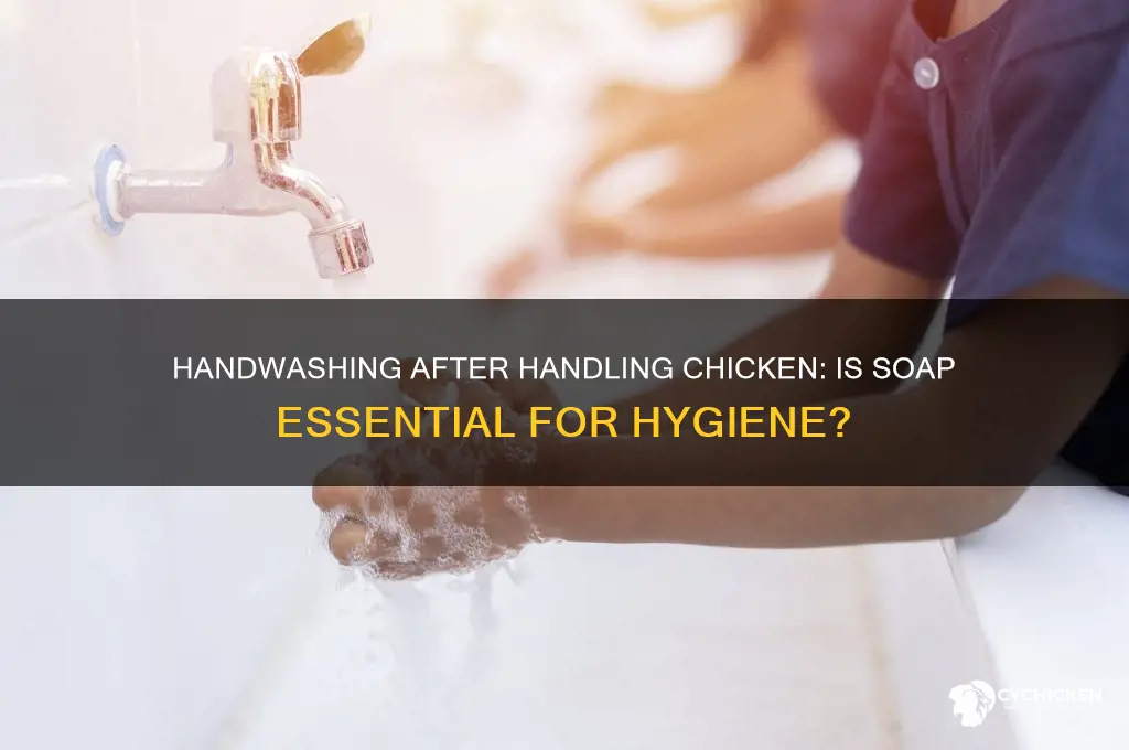do you need soap to clean hands chicken