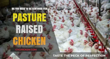 Pasture-Raised Chicken: Are Certifications Necessary?