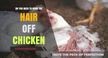 The Burning Question: Do You Need to Burn Chicken Hair?