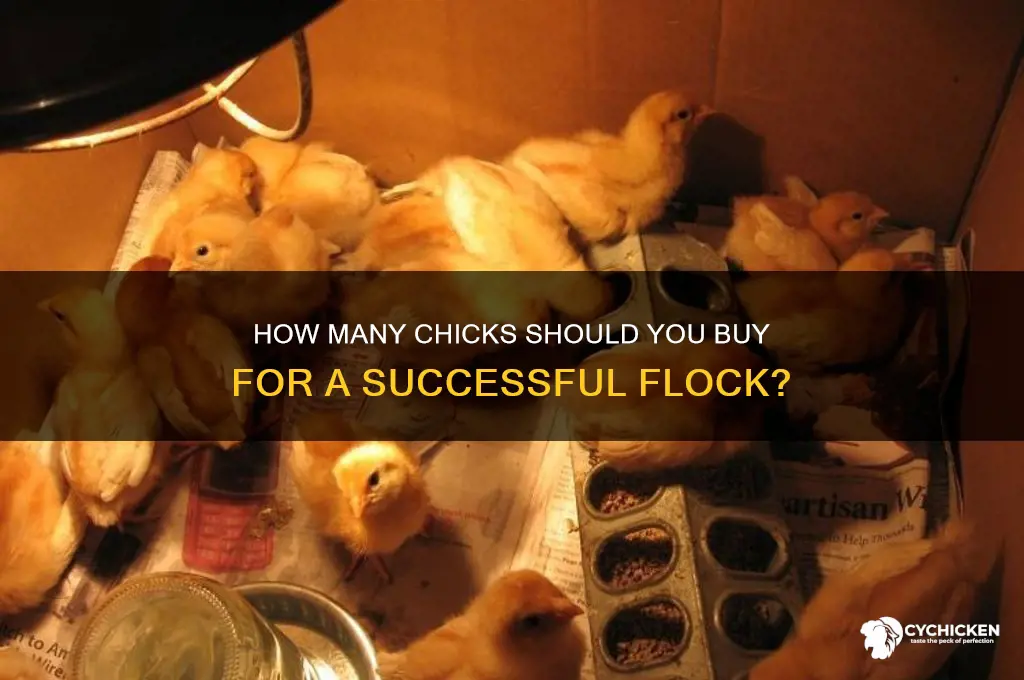 do you need to buy a certain amount of chicks