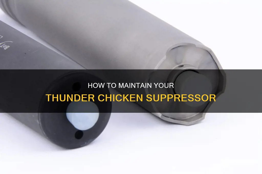 do you need to clean the thunder chicken suppressor